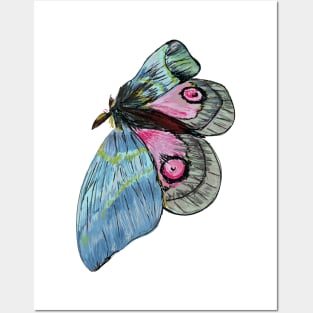 Exotic Butterfly Posters and Art